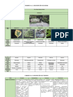 Unidad 2 Tarea 2 - Identificación