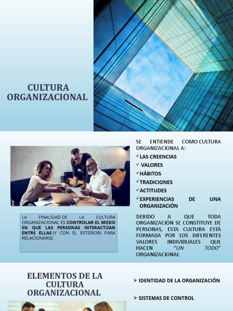 Elementos de la Cultura Organizacional | PDF | Servicio al Cliente ...