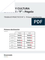 TP 2 - Primera declinación