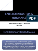Enterop PDF