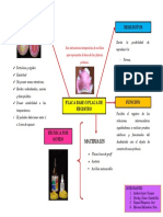 Requisitos Características: Son Estructuras Temporales de Acrílico Que Representa La Base de Las Futuras Prótesis