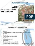 Identificacion y Control de Oidium