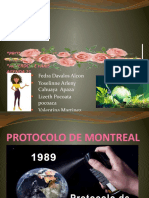 PROTOCOLO DE KIOTO.pptx