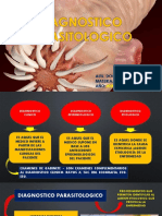 Diagnostico Parasitologico PDF