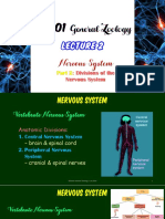 Bio101 General Zoology: Nervous System