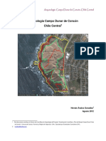 Arqueologia Campo Dunar de Concon Chile PDF