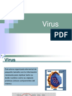 VIRUS.pdf
