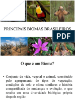 PRINCIPAIS BIOMAS BRASILEIROS Trabalho