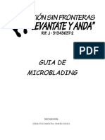 GUIA DE MICROBLADING2