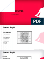 Injerto PDF