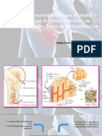 Consolidacion Osea