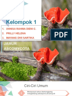 Ascomycota ppt.pptx