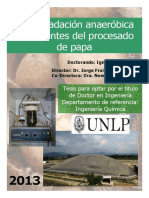 Biodegradación Anaeróbica Efluentes Papa PDF