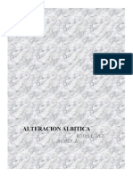 ALTERACION ALBITICA.docx