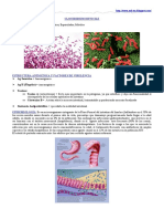 46172445-Clostridium-Difficile-C-Perfringens-y-C-Botulinum.doc