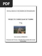 PCT7A-