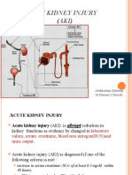 acute kidney injury  AKI MAANTA 11 SAAC.pptx