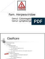 CMV, Citomegalovirusul