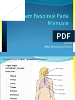 Presentasi Sistem Pernafasan 2