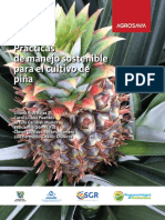 Piña