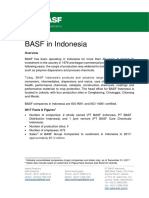 BASF in Indonesia Backgrounder-2017 Figures