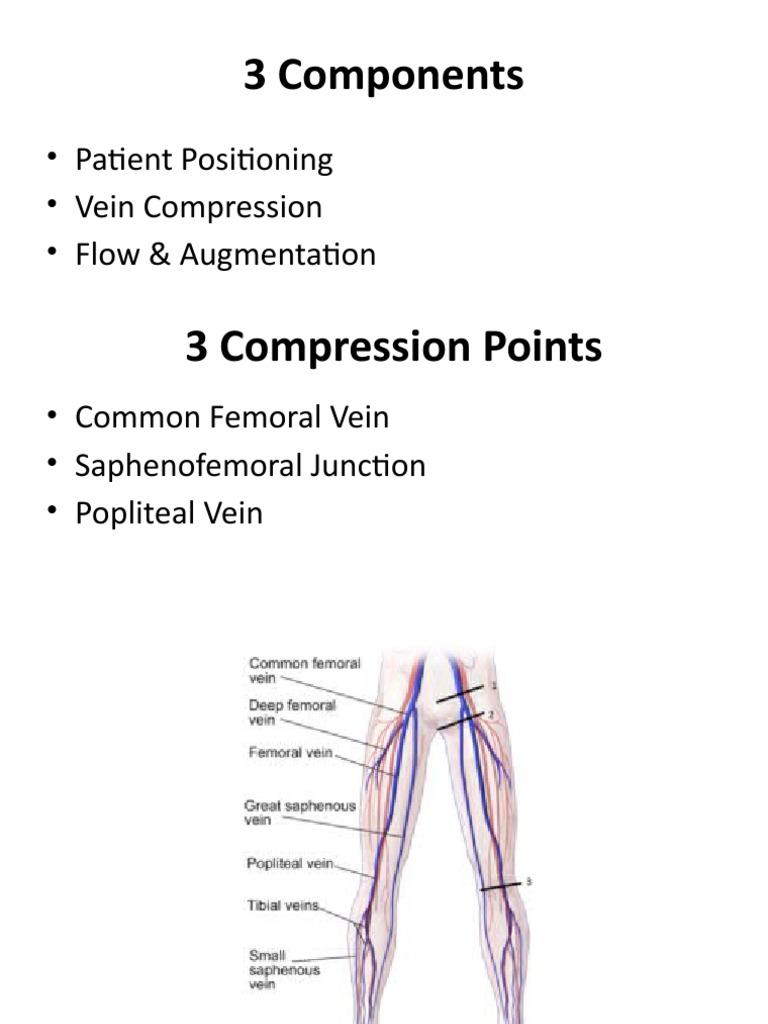 3 Components of DVT | PDF