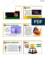 clase 1 portugues.pdf