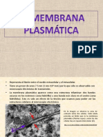 membranaplasmatica