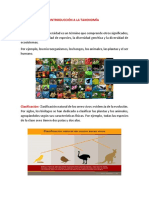 Introducción A La Taxonomía PDF