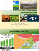 Challenges_facing_the_Bangladesh_Leather_Industry_LFMEAB-1.pdf