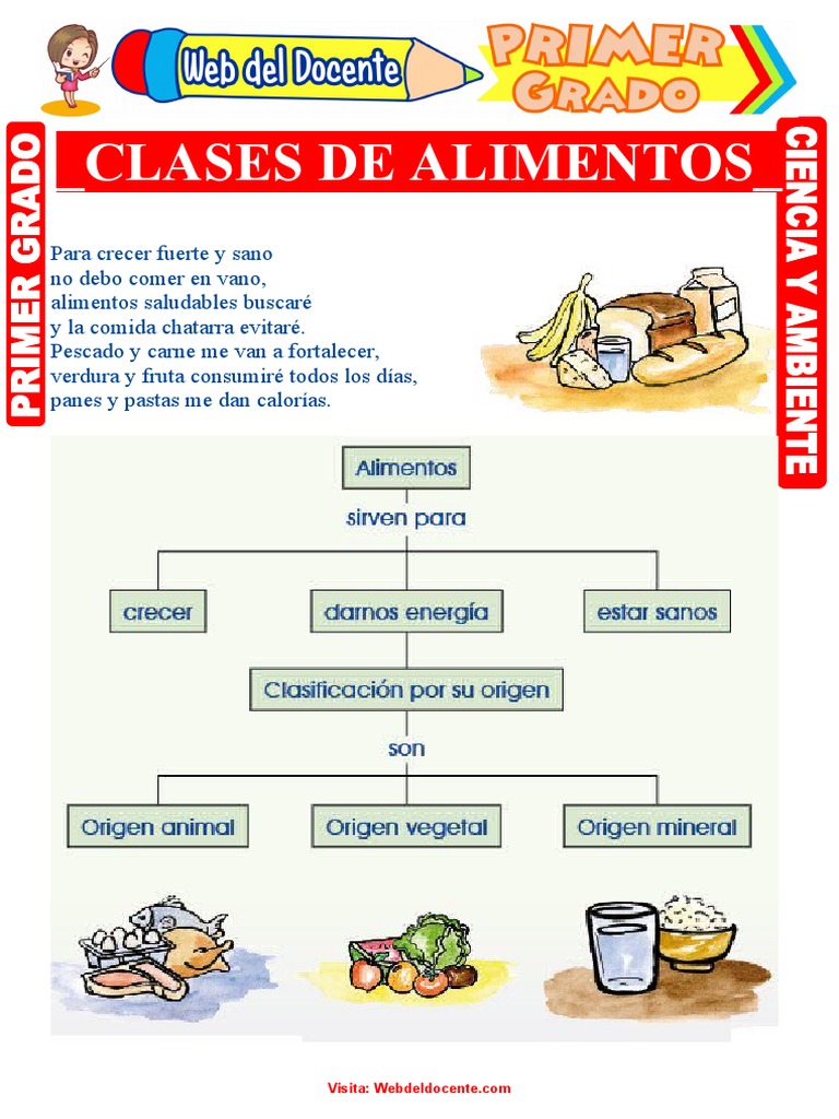 Clases de Alimentos para Primer Grado de Primaria | PDF
