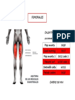 FEMORALES