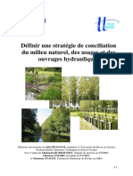 Memoire Universitaire Demange