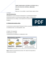 cuestionario de geodinamica-convertido.docx