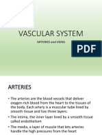 VASCULAR SYSTEM and BLOOD