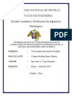 351712139-Informe-de-Practicas-Pre-Profesionales-Facultad-de-Ingenieria-Metalurgica-UNT.pdf