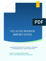 Atlas de Hongos Importante