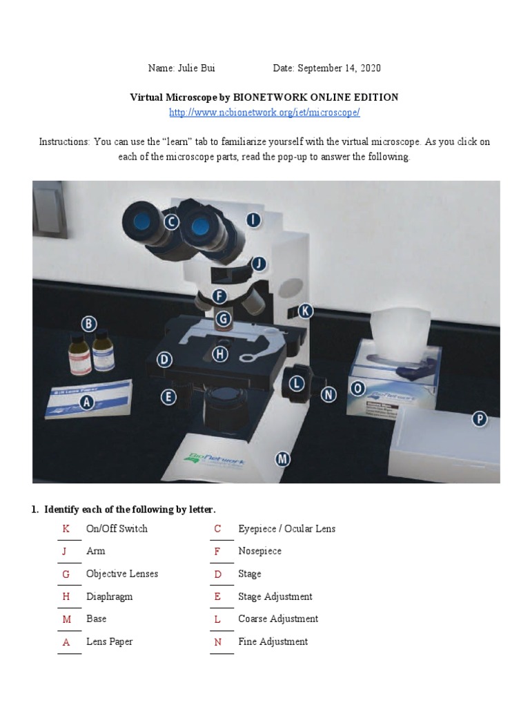 Julie Bui Virtual Microscope Lab Worksheet Pdf Microscope White Blood Cell