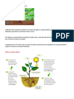 Tema 2 Grado 3D Las Plantas Elaboran Su Alimento PDF