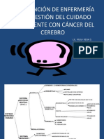 31072014_PCTE_CON_CA_DE_CEREBRO.pdf