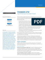 Thunder CFW: High-Performance Versatile Firewall