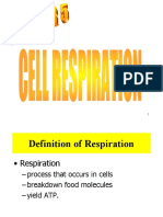 Biology Sem1 - Chap5