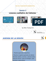 Sesion 5 Analisis Cualitativo Cationes