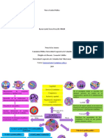 Mapa Mental Nueva Gestion Publica