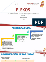 Plexos PDF