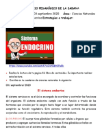 Guía Sistema Endocrino 3 Septiembre.