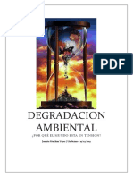 DEGRADACION AMBIENTAL.docx