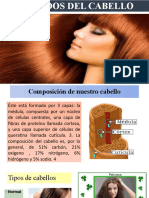 Cuidados Del Cabello