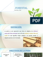 Poda Forestal