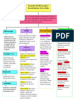 Mapa Conceptual Invencion Del Microscopio y Descubrimiento de La Celula